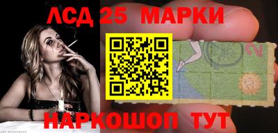 МДПВ Бердск