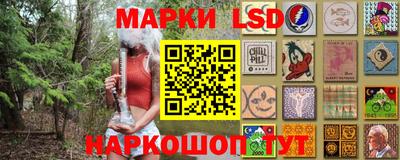 МДПВ Бердск