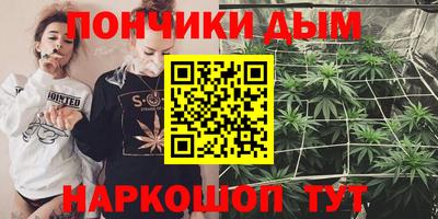 МДПВ Бердск