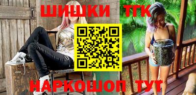МДПВ Бердск