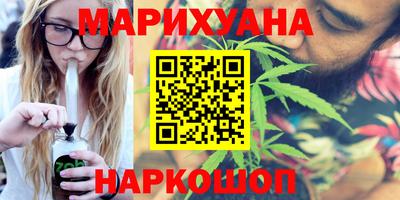 МДПВ Бердск