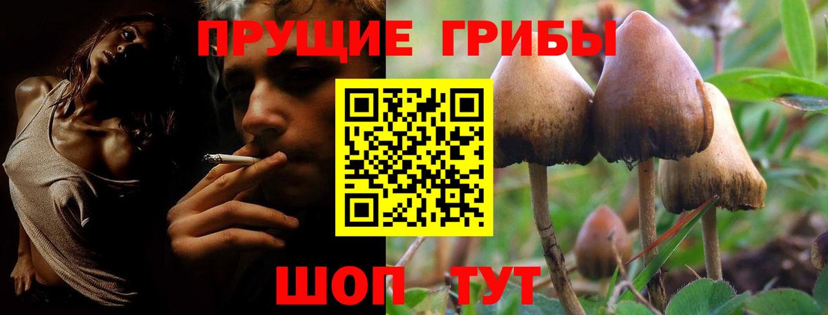 Галлюциногенные грибы MAGIC MUSHROOMS Видное